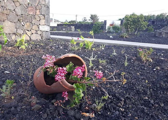 Villa Casas Do Verdelho