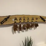 Casas Do Verdelho