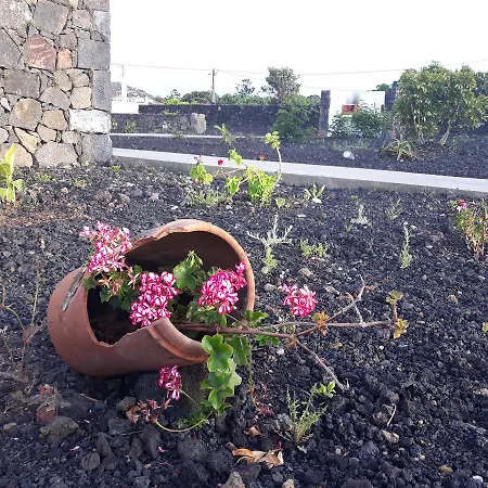 Villa Casas Do Verdelho